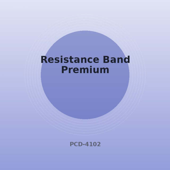 Fitnessband Premium